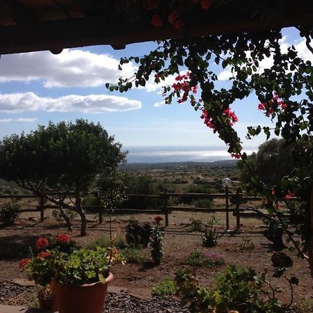 Villa Agriturismo Su Nuragheddu Galtellì Exterior foto