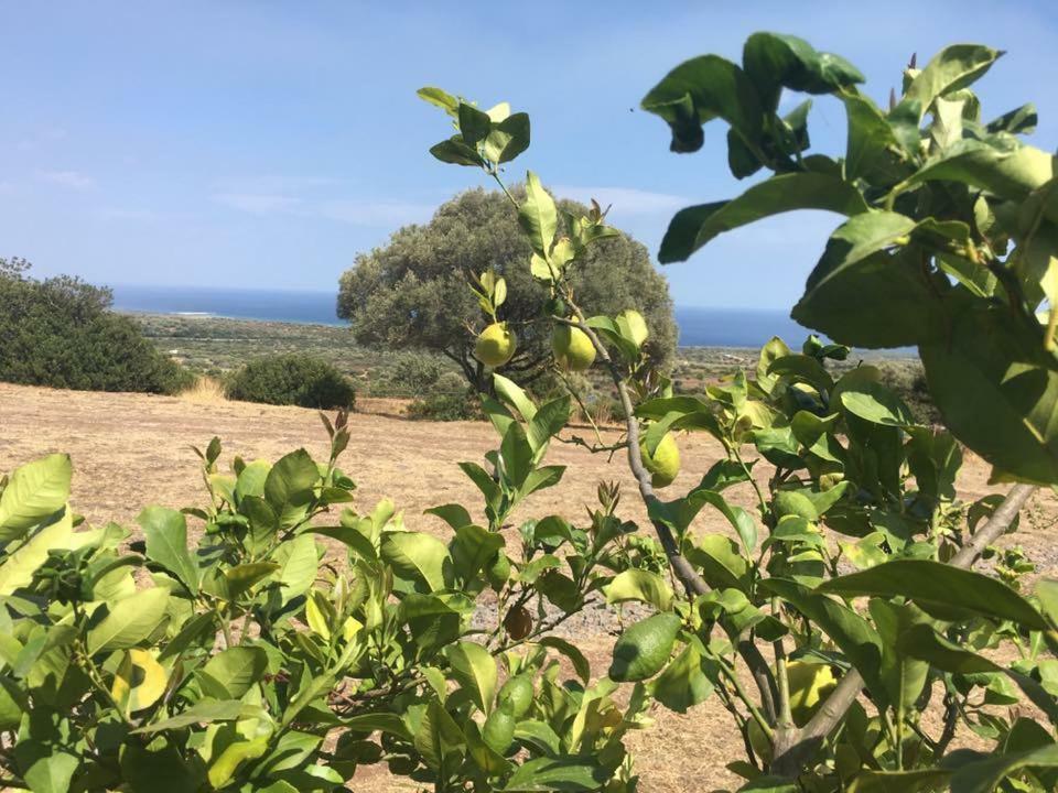 Villa Agriturismo Su Nuragheddu Galtellì Exterior foto