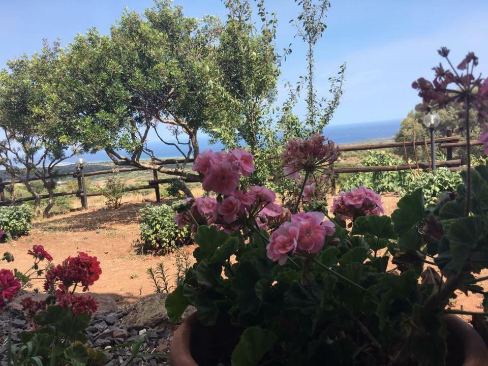 Villa Agriturismo Su Nuragheddu Galtellì Exterior foto
